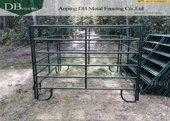 Portable Security 6 Bar Corral Fence Panels Steel Livestock Fencing In Farm