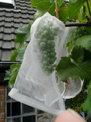 100% HDPE UV Radiation Agents 3% Fruit Tree Covers , Bags To Cover Fruit On Trees