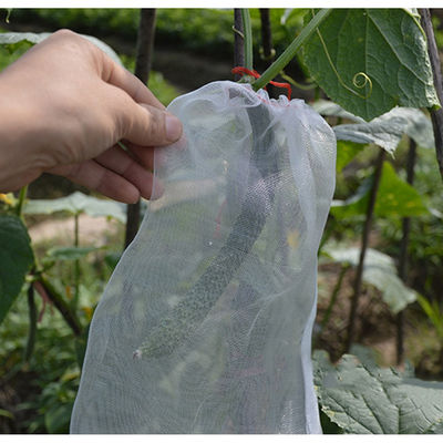 Eco - Friendly Hdpe Material Fruit Tree Covers , Grape Protection Bags With Anti Uv