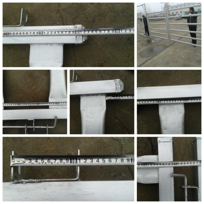 Livestock Horse / Cattle Corral Panels , Low Carbon Steel Metal Corral Fencing