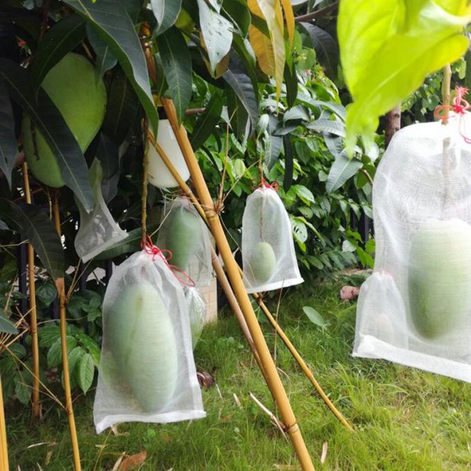 Fruit cover bags with chinese watermelon