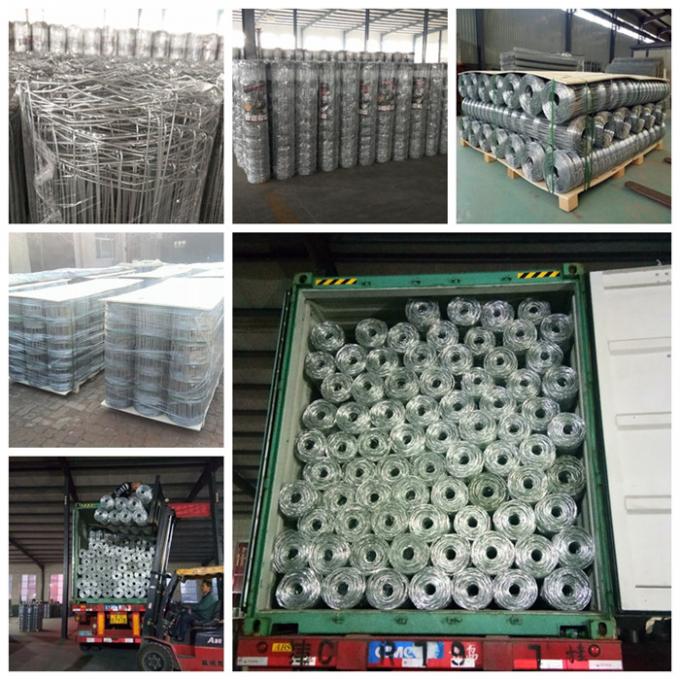 Hot Dipped Galvanized Woven Field Fence For Animal Feeding 