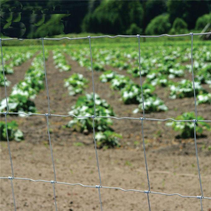 1.5*50m Agricultural Field Farm Hinge Joint Wire Fence Roll 