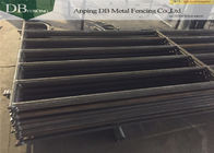 Temporary Steel Horse Corral Fence Panels , Portable Livestock Fencing