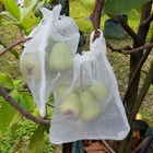 Durable And Reused Fruit Tree Covers Environmental Protection For Agriculture