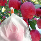 Bolso resistente ULTRAVIOLETA Buit de la cubierta de la fruta del HDPE en uno fácil limpiar y utilizar