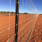 Anti Corrosion 200m Galvanized Fixed Knot Deer Fence