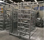 Heavy Duty Portable Galvanized Cattle Cattle Crush For Sale