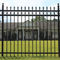 Top Lattice Garden Steel Powder Coated Garrison Fence