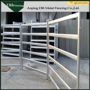Livestock Horse / Cattle Corral Panels , Low Carbon Steel Metal Corral Fencing