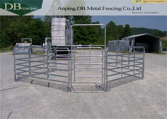 Galvanized Portable Horse Fencing Panels , Free Standing Livestock Panels