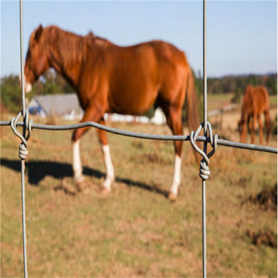 2m X 50m Hot Dipped Galvanized Fixed Knot Wire Farm Fence