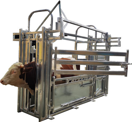 Vet crush cattle board extrusion crushing cattle processing equipment and weighing system